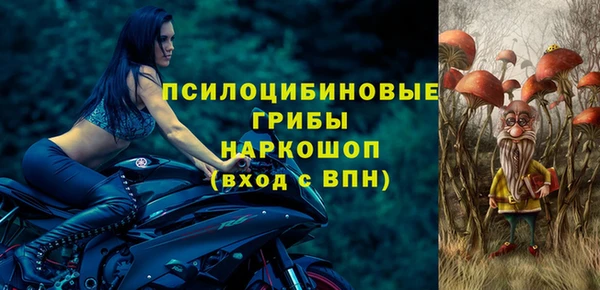 гашик Елабуга