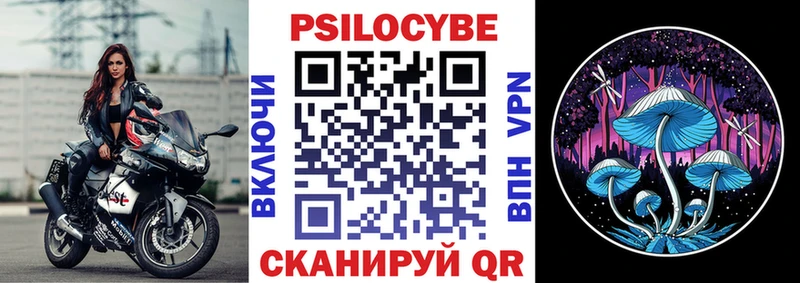 сколько стоит  Западная Двина  Псилоцибиновые грибы Psilocybe 